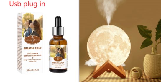 Lunar Humidifier Night Light Bedroom Household Aromatherapy Moisturizing Spray Dormitory Bedside Mute Creative Gift (Option: Wood set-Usb plug in)