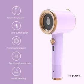 Fabric Steam Engine Handheld Garment Steamer Spray Convenient Wet And Dry Handheld Iron (Option: Light Purple-Uk)